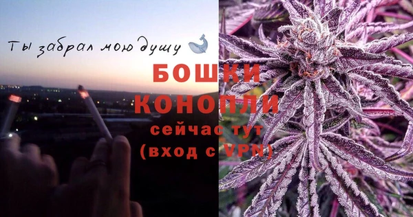 ПСИЛОЦИБИНОВЫЕ ГРИБЫ Верхнеуральск